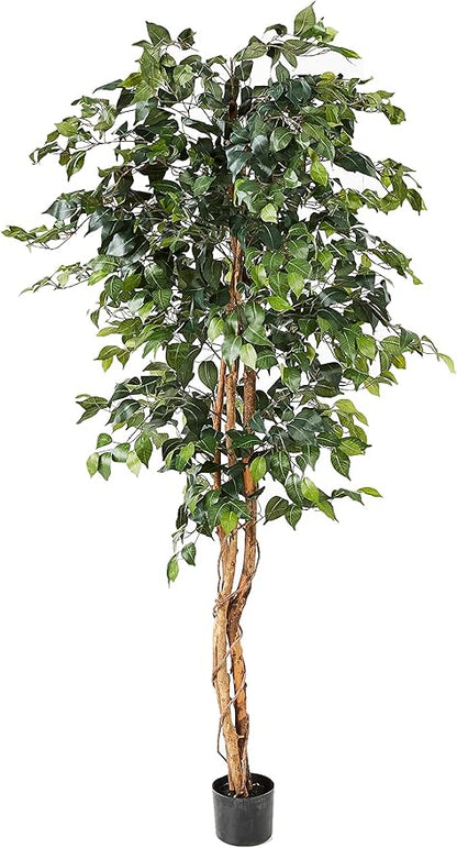 Nearly Natural 6ft Triple Trunk Artificial Ficus Tree with Natural Wood Trunks, Fake Tree for Indoor Home Décor, Faux Ficus Tree with Black Nursery Pot
