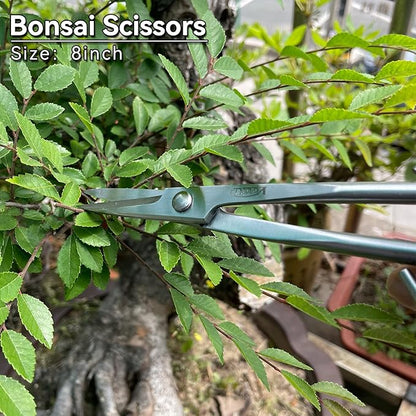 6-Piece Bonsai Tool Set,Concave Cutter,Knob Cutter,Jin Pliers,Wire Cutter,Bonsai Scissors, Root Hook