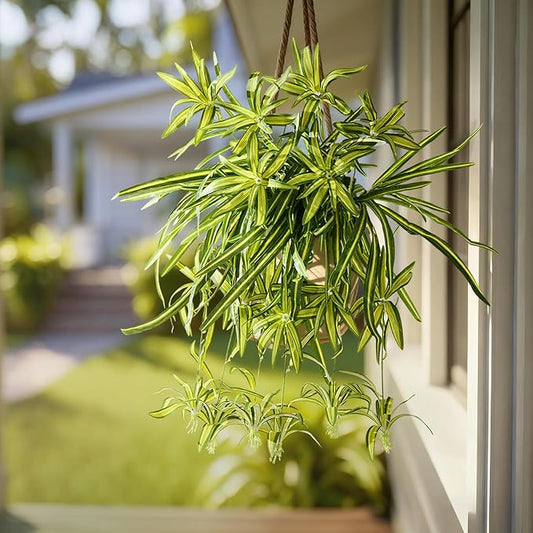 2 Pcs Artificial Spider Hanging Plant Artificial Bracketplant Chlorophytum Fake Greenery for Outdoor Porch Patio Window Shelf Office Garden Home Decor (Green)