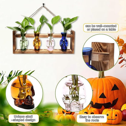 Plant Propagation Stations Halloween Skull Plant Terrarium Kit Glass Vases Gift for Father Air Planter Home Office Decor
