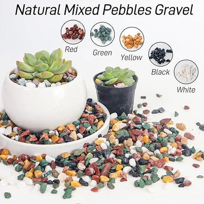 7lb Aquarium Gravel for Plants, 1/4Inch Fish Tank Gravel for Succulent Cactus and Bonsai, Decorative River Rocks Pebbles for Gardening, Flower Pots, Landscaping,Terrarium