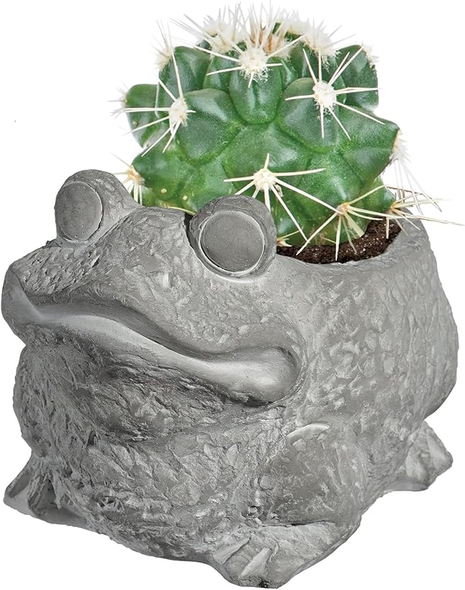 Classic Home and Garden Cement Buddies Animal Planter - Cute Desk Decoration - UV Coated Animal Vase w/Removable Drain Plug - Succulent Planter for Indoor/Outdoor Use (Frog Planter, Natural, Small)
