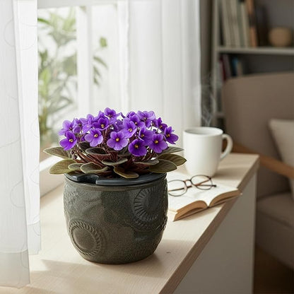 6.5” Ceramic Self Watering African Violet Planter with Embossed Floral Design – Durable Indoor Plant Pot for Orchids, Succulents, and Houseplants