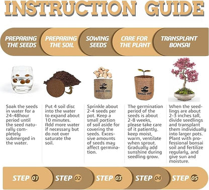 Indoor Bonsai Garden Starter Kit, 5 Seeds Growing into Red Maple, Wisteria, Black Pine, Judas Tree, Acacia, Including Complete Gardening Planters & A Wooden Box, Christmas Gifts for Women