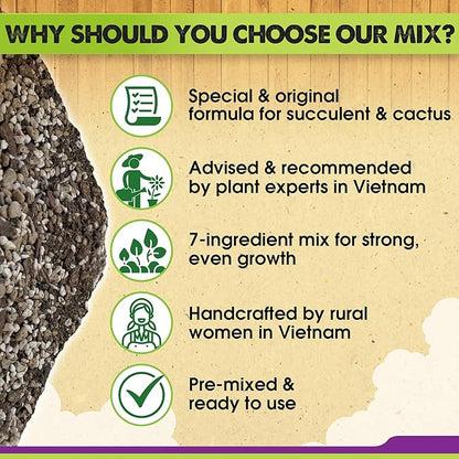 DUSPRO Succulents Soil Potting Mix – 7 in 1 Ingredients Well-Draining, Nutrient-Rich Cactus Potting Soil for Succulents and Cacti, Indoor & Outdoor Use, Ready to Use, Supports Healthy Root Growth, 8QT