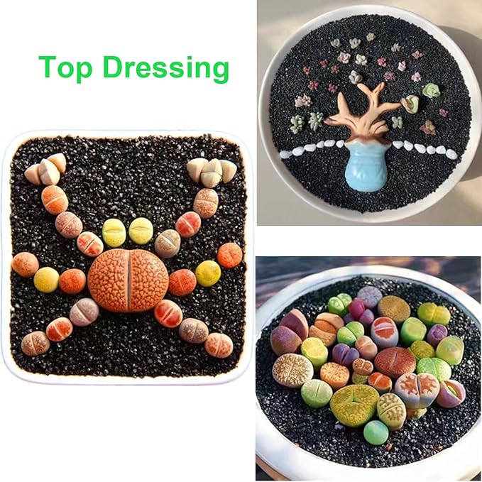 2.4lb Succulents and Cactus Black Sand, Décor & Additive Tiny Stones,DIY Rocks Gravel for Bonsai, Fairy Gardening, Terrarium, Vases Fillers