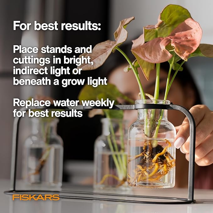 Fiskars Plant Propagation Station – Multi-Flute Glass Propagation Stand with Metal Base, Ideal for Rooting Multiple Plant Cuttings and Hydroponic Decor