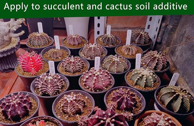Voulosimi Gardening Akadama Soil - Cactus, Bonsai, Succulent Soil Additives Landscaping Vase Fillings (1/4 inch, 2 QT)