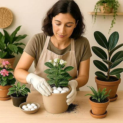Pebbles for Plants, 5lbs White Pebbles 1-2 Inch Decorative River Rocks for Indoor Planters, High Polished Stones for Vase Filler Fish Tank Landscaping Garden