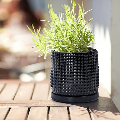 D'vine Dev Set of 2 Ceramic Plants Pots, 4 Inch Beaded Stoneware Flower Pot for Plants with Drainage Hole and Saucer, Glossy Black, 27-E-Z-2