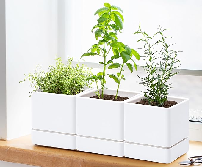 D'vine Dev 4 Inch Herb Planter Pot, Plastic Planter with Drainage Holes and Saucer, Modern Decorative Gardening Pot for Indoor Plants, Flowers, Herbs, Succulents, White, Set of 3, 76-Y-A3-1