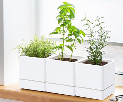D'vine Dev 4 Inch Herb Planter Pot, Plastic Planter with Drainage Holes and Saucer, Modern Decorative Gardening Pot for Indoor Plants, Flowers, Herbs, Succulents, White, Set of 3, 76-Y-A3-1