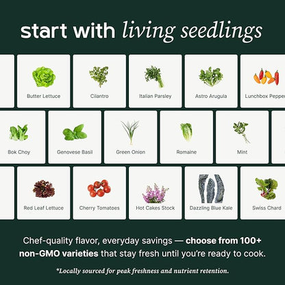 Farmstand Starter Kit with Glow Rings and 36 Seedling Credits | Large Hydroponic Growing System Kit | Vertical Garden Planter Tower | 6ft 7in Tall