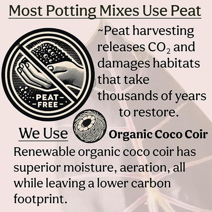 Craft Houseplant Potting Mix, Elite House Plant Soil, Chunky, Well Draining Potting Soil for Indoor Plants, Tropical Plants & Potted Plants, Sustainable & Peat Free, Less Prone to Gnats 4qt