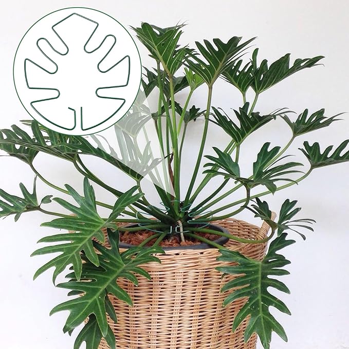 5 PCS Iron Monstera Plant Support, Plant Supports for Indoor Plants, Metal Monstera Plant Stabilizer, Plants Stem Holder for Thriving Growth Indoor Plants(Green)