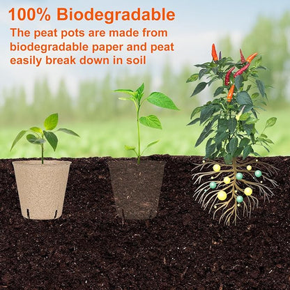 60 Packs 3.15 Inch Peat Pots,Biodegradable Pots for Seedlings with Drainage Holes, Garden Germination Nursery Pots with 50Pcs Plant Labels