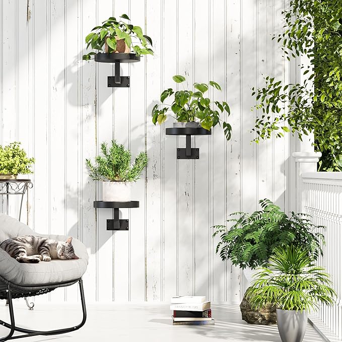 Gezen 3 Pack Wall Plant Holder, Plant Frames Wall Decor, Float Metal Rack for Indoor Plants, Round Display Shelves Hanging Planter for Outdoor