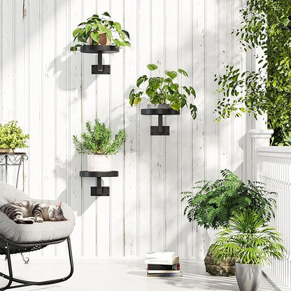Gezen 3 Pack Wall Plant Holder, Plant Frames Wall Decor, Float Metal Rack for Indoor Plants, Round Display Shelves Hanging Planter for Outdoor