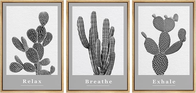 Ashbrook Framed Wall Art Print Set Black & White Grayscale Desert Succulents Nature Wilderness Photography Modern Art Boho Scenic Dramatic for Living Room, Bedroom, Office - 24"x36"x3 Natural