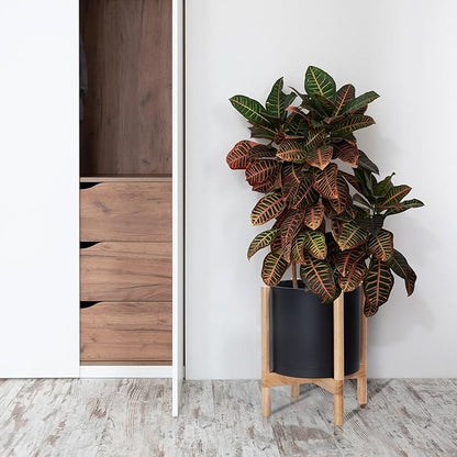 D'vine Dev Planter Pot with Stand - 12 Inch Plastic Cylinder Flower Pot with Wood Planter Holder for Indoor, Matte Black Pot + Natural Stand, 55-C-P-2