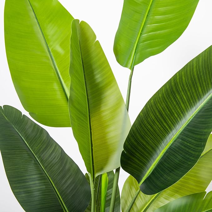 Bird of Paradise Artificial Plant 6FT, Faux Tropical Palm Tree with White Tall Planter, Large Fake Plants in Pot - Artificial Tree for Home Office Living Room Decor Indoor