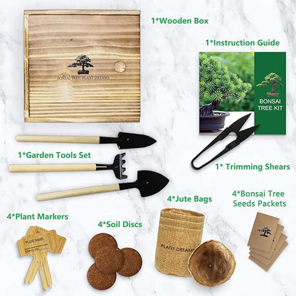 Bonsai Tree Starter Kit for Beginners - Indoor Live Plant Gardening Adult Craft DIY Kits - Unique Christmas, Birthday, White Elephant Gifts for Women, Men & Kids