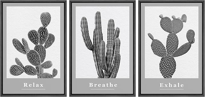 Ashbrook Framed Wall Art Print Set Black & White Grayscale Desert Succulents Nature Wilderness Photography Modern Art Boho Scenic Dramatic for Living Room, Bedroom, Office - 24"x36"x3 Black