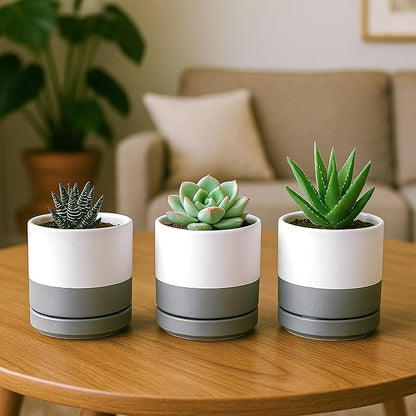 D'vine Dev Set of 3 Plants Pots, 3.5 Inch Ceramic Planter Pot for Plants with Drainage Hole and Saucer, White/Speckled Grey, 94-N-A-6
