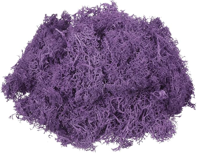 MECCANIXITY 4.6oz Preserved Reindeer Moss, Purple Decorative Artificial Fake Moss for Potted Plants Indoor Crafts Lichen Centerpieces Decor