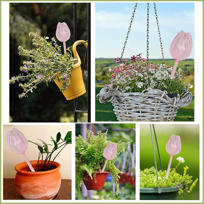 2 Pack Glass Plant Watering Globes, Self Watering Planter Insert Devices, Automatic Watering Bulbs for Indoor Plants, Plant Accessories, Flower Water Tubes, Water Plants Spikes While Away