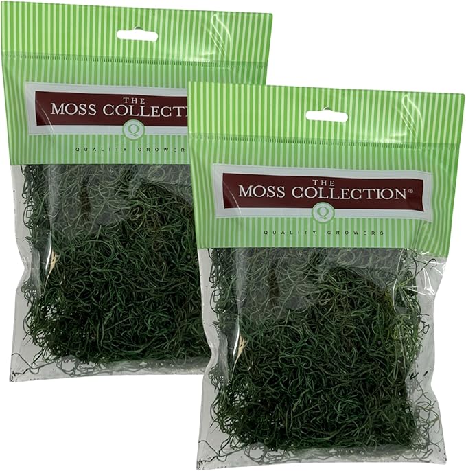 Preserved Spanish Moss - Premium Decorative Moss for Crafts, Home Décor, Art, Design & DIY Projects - Real Moss - Non-Toxic, USA-Made (Forest Green, Small, 2-Pack)