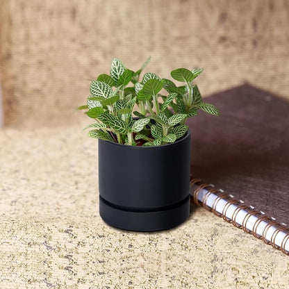 Phoenix Vine 4 Inch Planter Pot with Drainage Hole & Saucer, Deep Water Catch Tray, Straight Cylindrical Round Pot for Plants, Matte Black, Pack of 1, 23-C-R-1