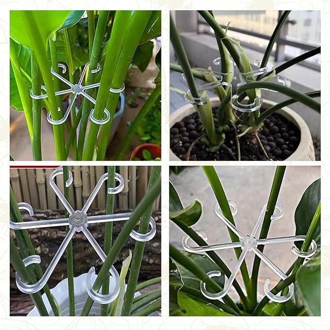 8 Pack Clear Indoor Plant Support Stakes, Reusable Plastic Plant Stem Holders & Trellis for Monstera Pothos Vines Vertical Growth Air Circulation Stable Stem Support