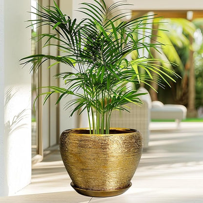 Ceramic Planter 10 Inch - Indoor Plant Pot with Drainage Hole and Saucer Large Decorative Planter Mid-Century Modern Flower Pot Outdoor for Home Decor Gold