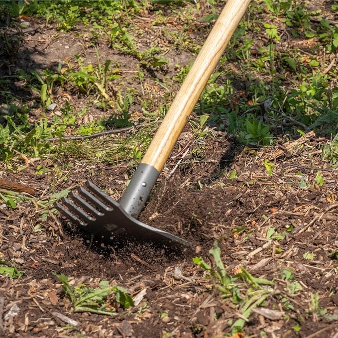 Gemplers Steel Rake Hoe with Wood Handle, 5 Wide Tines, Multi-Purpose Tool for Gardening, Planting, and Fire Prevention, Commercial Grade