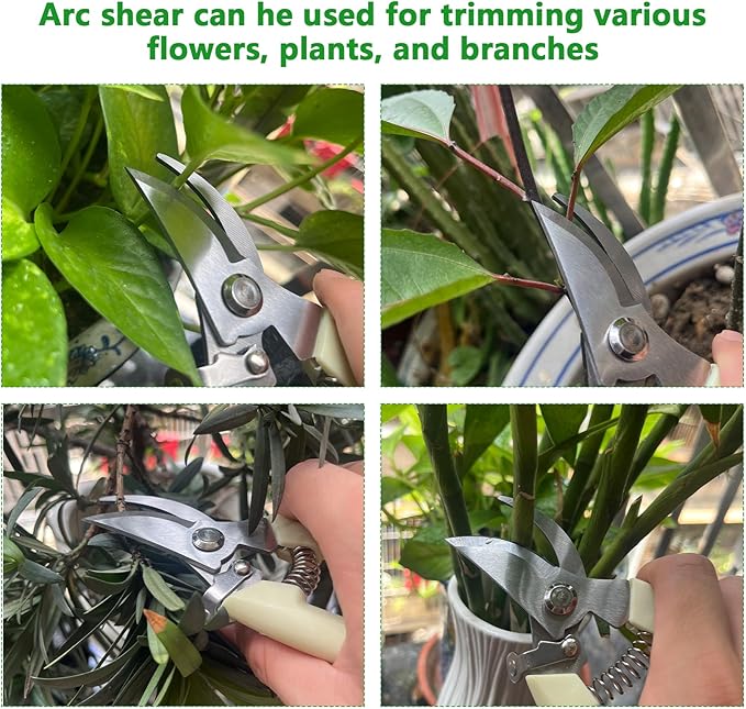 12 Pcs Garden Shears Flower Scissors Pruning Shears Floral Garden Clippers Hand Pruners Branch Cutter Gardening Tools for Plants Cutting, Trimming, Fruits Picking(Bypass, Straight)
