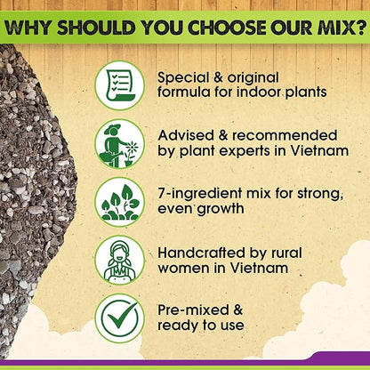 DUSPRO Recycle Pre-Mixed House Plant Potting Mix 7in1 with Potting Soil Indoor Plants, Tropical Indoor Potting Soil with Pine Bark, Pumice, Coco Coir, Perlite, Worm Castings, Gypsum, Peat Moss 4QRT