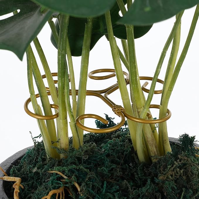 2PCS Plant Stem Support, Plant Stakes for Indoor Plants, Iron Monstera Turtle Shell Bamboo Clamp Set for Thriving Growth Accessores (Green, Gold)