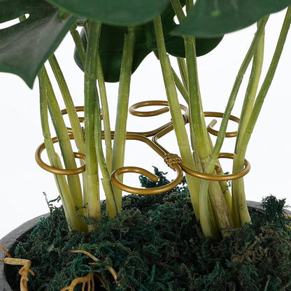 2PCS Plant Stem Support, Plant Stakes for Indoor Plants, Iron Monstera Turtle Shell Bamboo Clamp Set for Thriving Growth Accessores (Green, Gold)