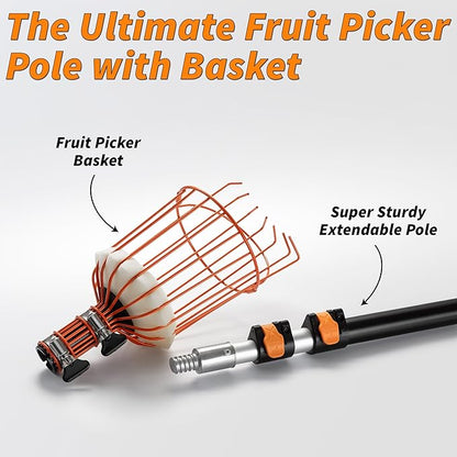 Fruit Picker Pole with Basket Telescoping 4-12 ft Apple Picker Extension Pole // Telescopic Fruit Tree Picker Tool for Picking Orange Mango Avocado Lemon Pear // The Ultimate High-Reach Fruit Grabber