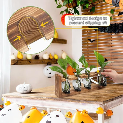 Plant Propagation Stations Halloween Skull Plant Terrarium Kit Glass Vases Gift for Father Air Planter Home Office Decor