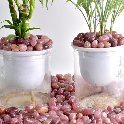 Polished Strawberry Quartz Crystals - 72 pcs Handpicked Tumbled Gemstones Rocks, Pebbles for Reiki, Chakra, Healing, Home Decor