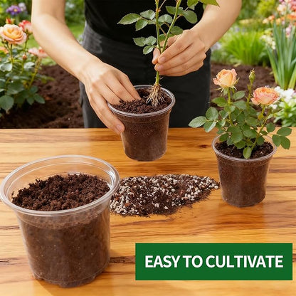 40 Pcs Seed Starter Pots Kit 2.5/3.5/4/5 Inch Clear Nursery Pots for Plants for Seedlings,Succulents,Plastic Nursery Pots with Drainage Holes (10 of Each Size),Garden Pot for Outdoor Indoor (Size A)