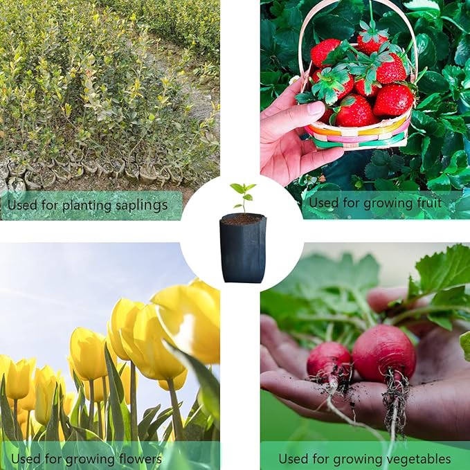 gardtree Plant Nursery Bags 6.3” x 7” 200PCS, Non-Woven Biodegradable Plant Grow Bags Fabric Seedling Starter for Vegetable Flower Fruit Saplings Tree, Home Garden Supply