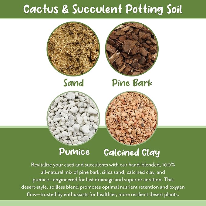 Soil Sunrise Cactus and Succulent Potting Mix (8 Quarts) Special Blend-Fast Draining and Desert-Style Gritty