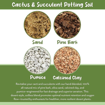 Soil Sunrise Cactus and Succulent Potting Mix (8 Quarts) Special Blend-Fast Draining and Desert-Style Gritty