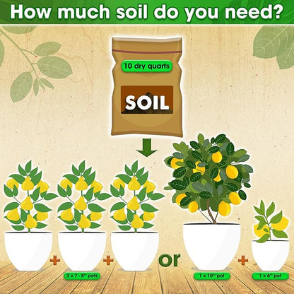 DUSPRO Recycle Citrus Tree Potting Soil Mix for Potted Lemon Tree, Specialized for Oranges, Fruit Tree Indoor Planting Pre-Mixed 4-in-1 Ready to Use (10 Quarts)