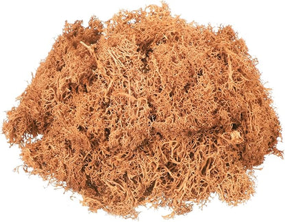 MECCANIXITY 3oz Preserved Reindeer Moss, Orange Decorative Artificial Fake Moss for Potted Plants Indoor Crafts Lichen Centerpieces Decor