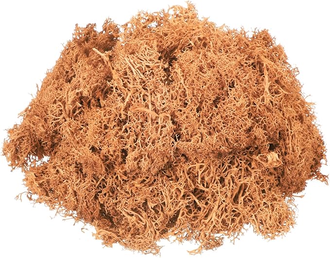 MECCANIXITY 4.6oz Preserved Reindeer Moss, Orange Decorative Artificial Fake Moss for Potted Plants Indoor Crafts Lichen Centerpieces Decor
