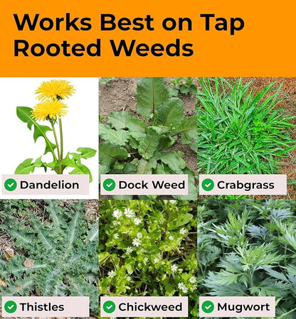 Stand Up Weed Puller Tool with Long Handle - Dandelion Weeding Tool, No More Bending